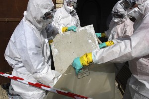 Asbestos and Mesothelioma