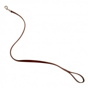 dog leash