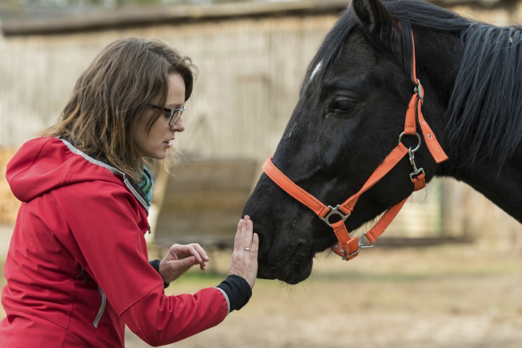 Hippotherapy for Cerebral Palsy Patients