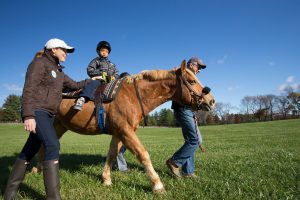Hippotherapy for Cerebral Palsy